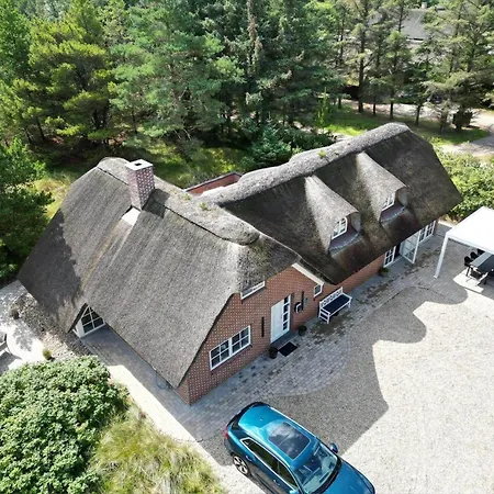 Bv376-blavand-ved-skoven-7 *